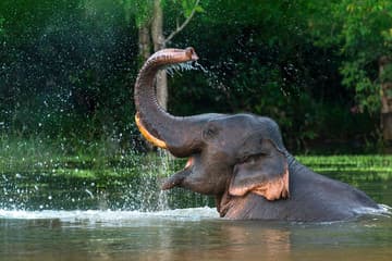 Kerala Gallery 8
