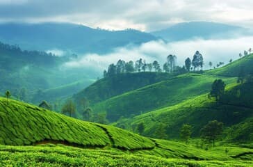 Kerala hills tour by Green world Holidays