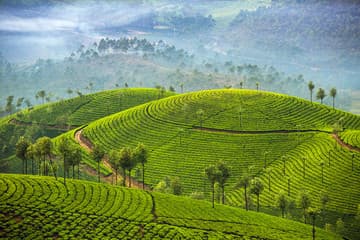 Kerala Gallery 5