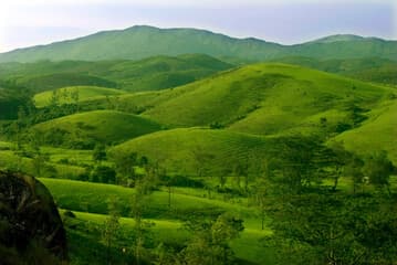 Kerala Gallery 6