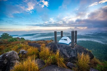 Wayanad - Green Paradise